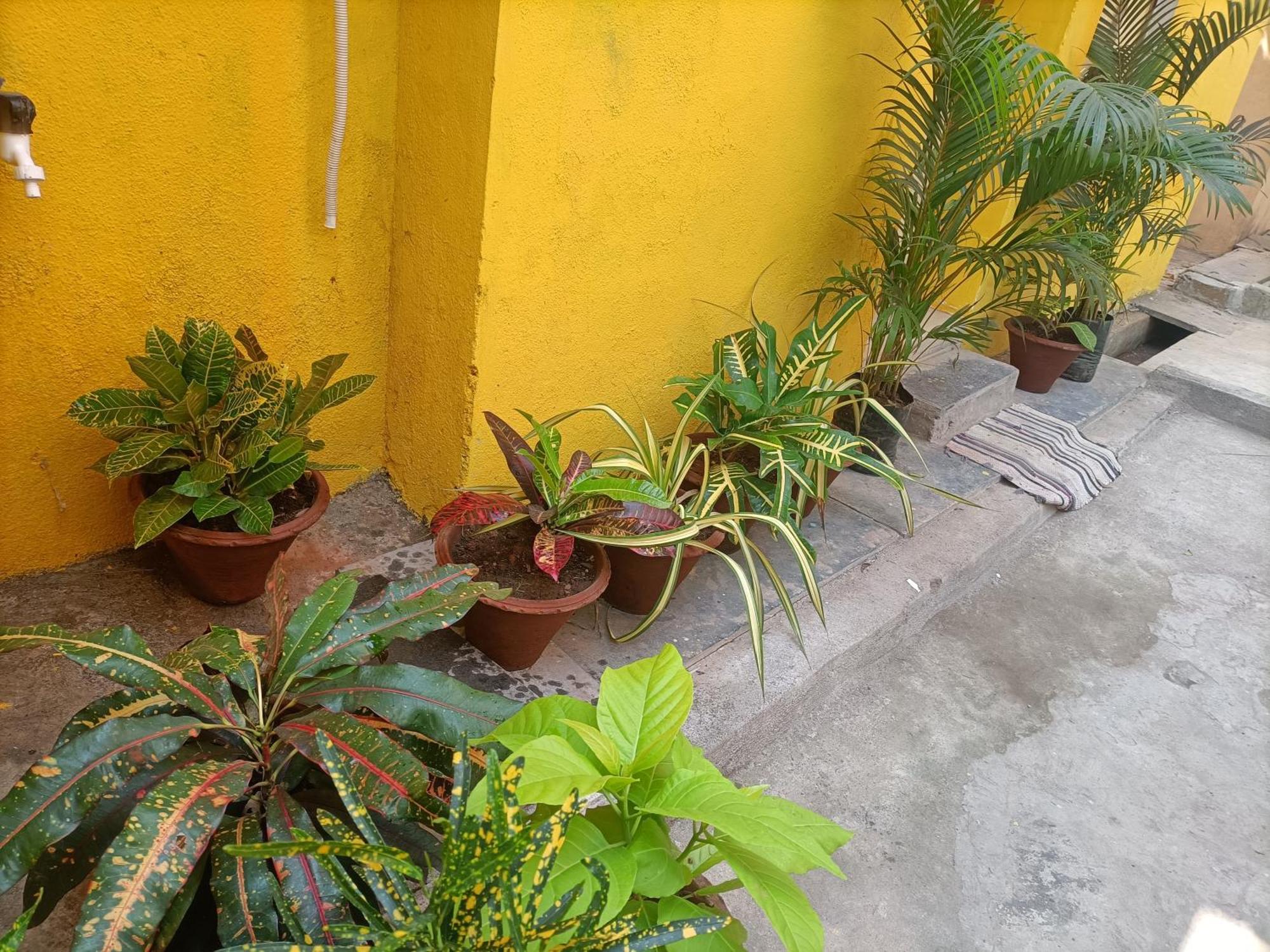 Nks Homestay Pondicherry Esterno foto